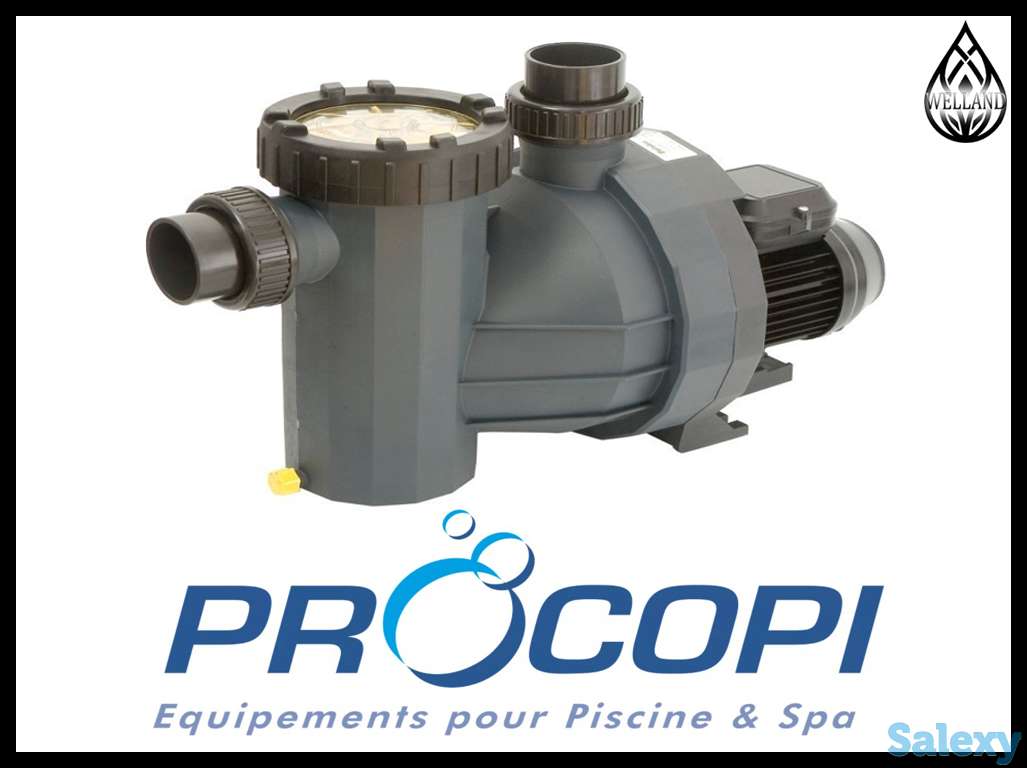 Насосы Procopi c префильтром для бассейна, фотография 1