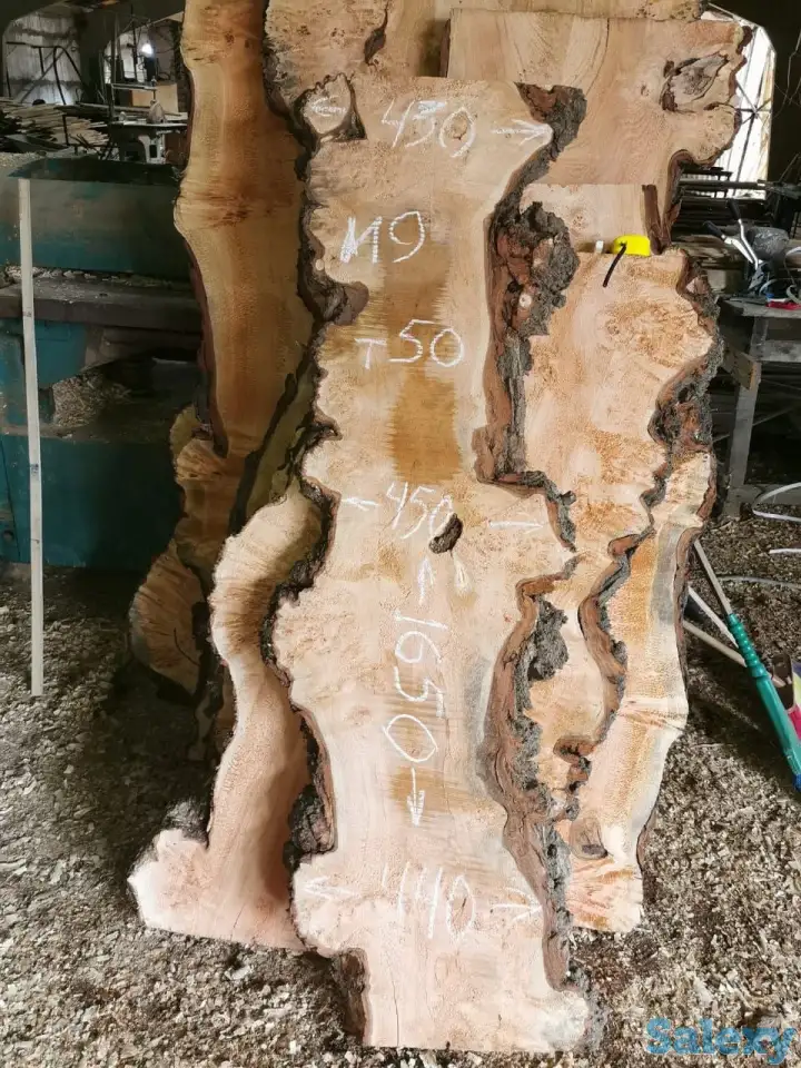 Слэбы от производителя из дуба, шпальтового бука, капового тополя, вербы, капового карагача, ясеня., фотография 1