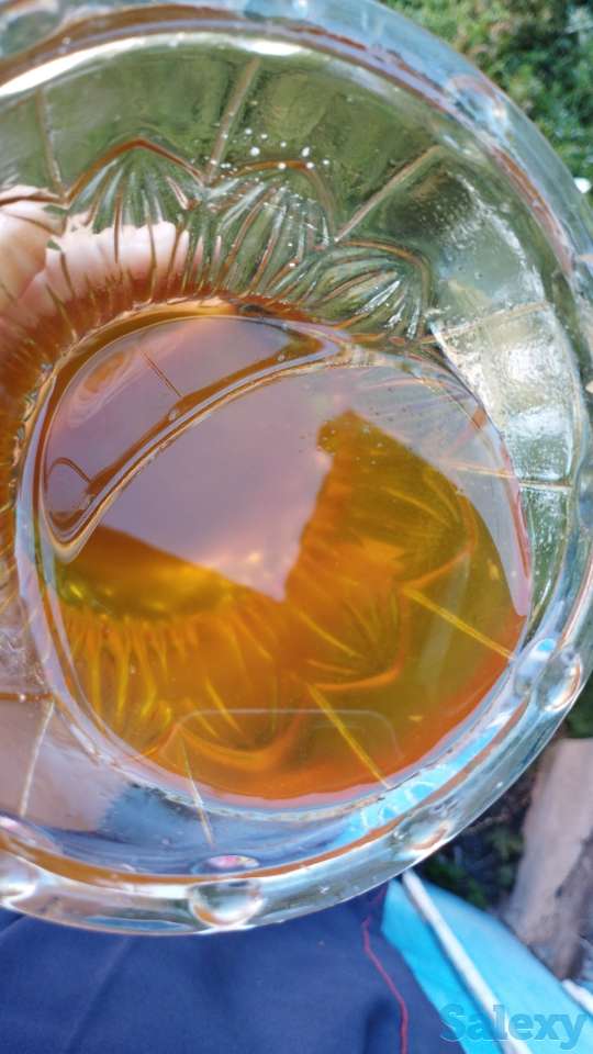 Продам Алтайский мед оптом, фотография 2