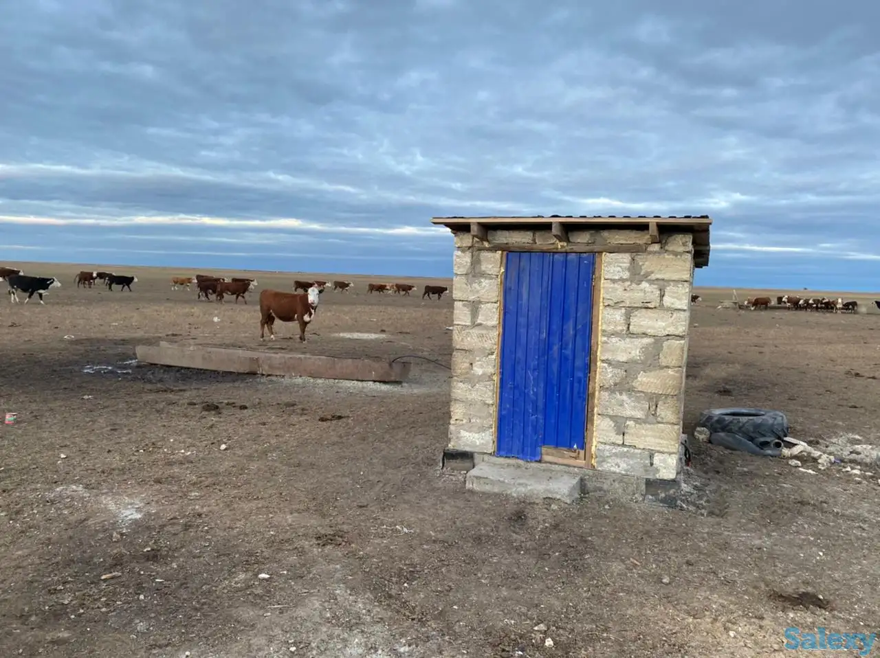 Продам крестьянское хозяйство в 100 км от Уральска, фотография 11