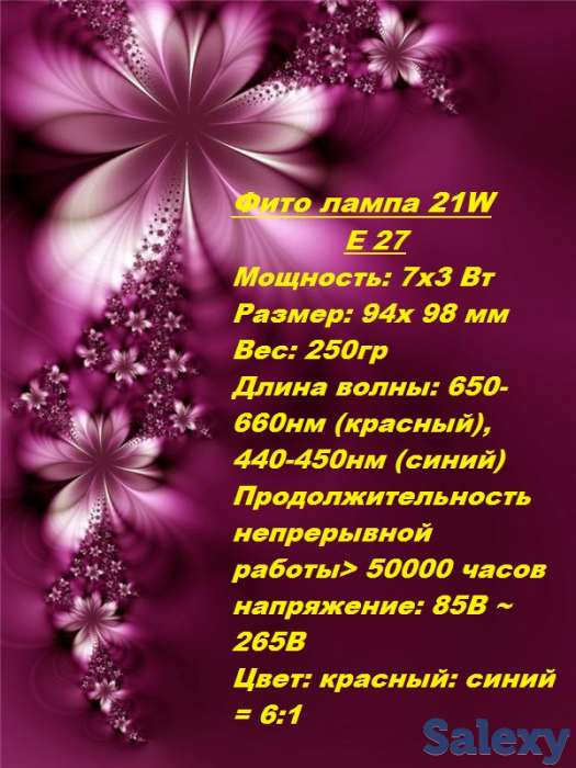 фитолампы, фотография 1