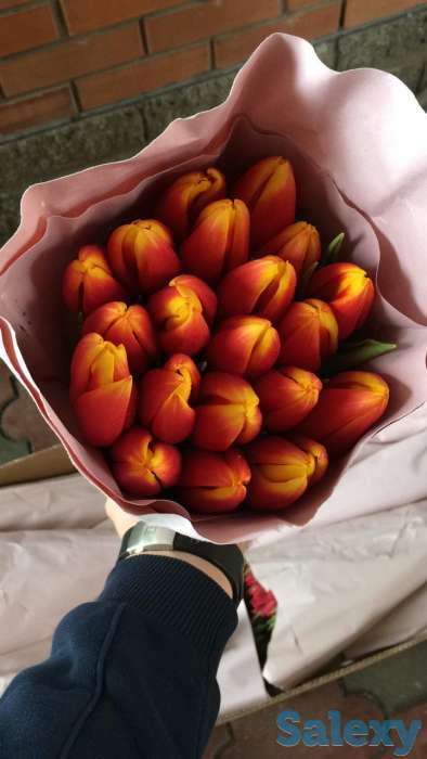 Голландские тюльпаны 10 лучших сортов,оптом и в розницу !, фотография 9