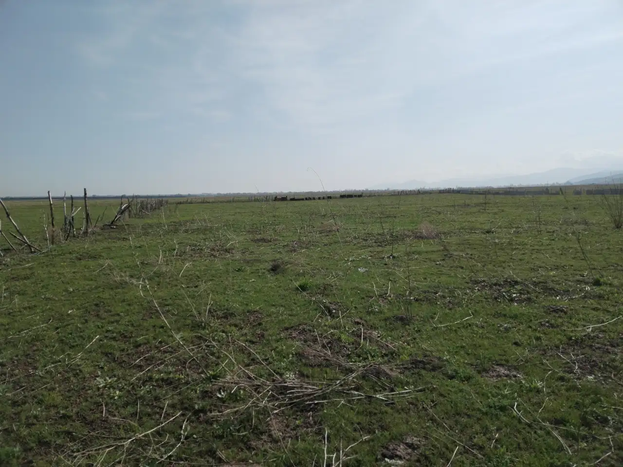 Продам земельный участок 132сотки., фотография 1