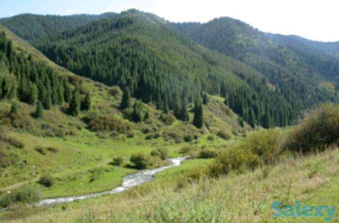 Саумал туры, фотография 4