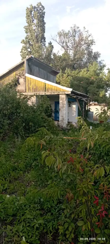Дача в аренду.бакша жала берлед, Саздинское водохранилище, фотография 1