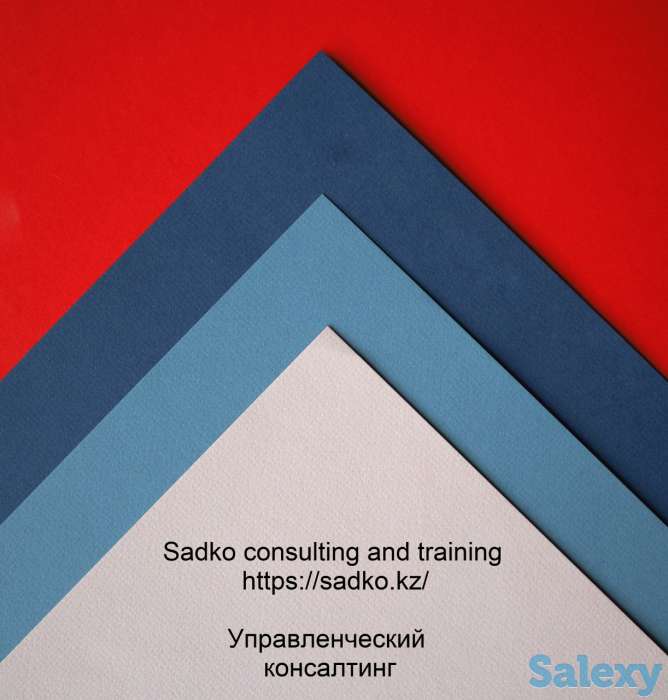 Управленческий консалтинг. Психология бизнеса., фотография 2