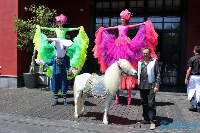 аренда пони, лошади, фотография 6