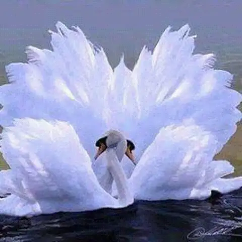 авторский оздоравливающий массаж, фотография 1