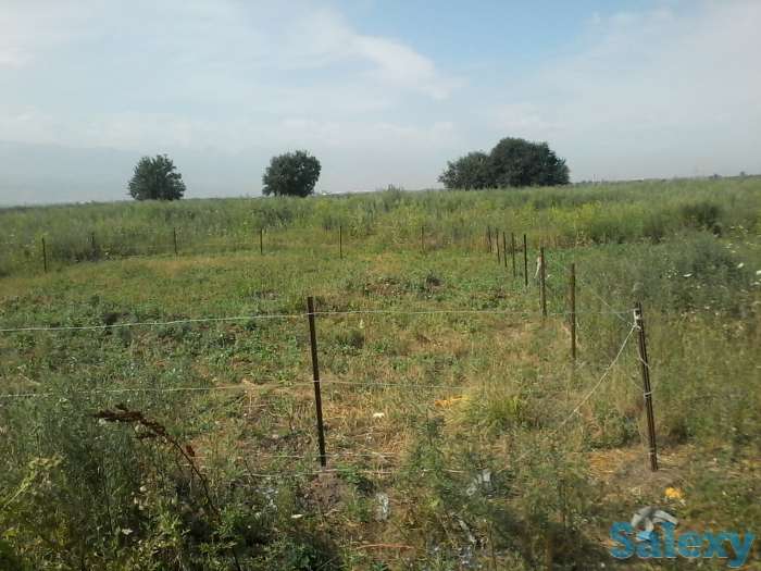 продам участок в 25 минутах от центра г. Алматы, фотография 3