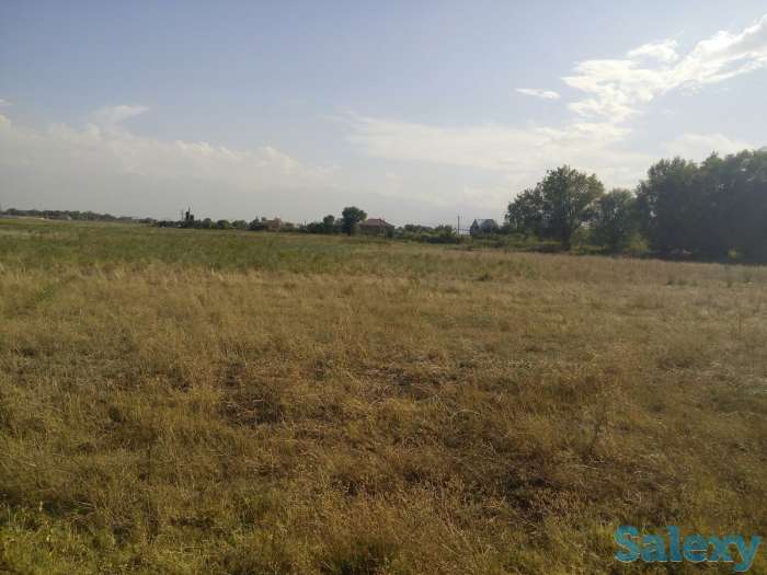 Участки под производство в пос Исаево, фотография 2