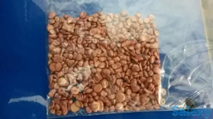 Куплю  Медь гранулированную, фотография 1