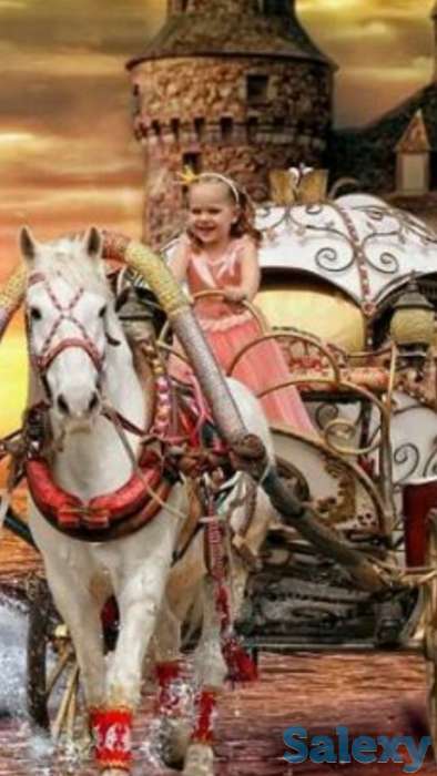 карета в Алматы, фотография 2