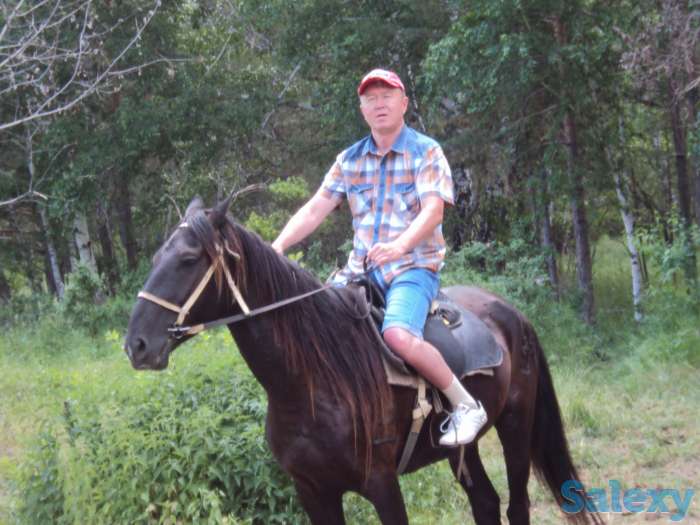 Адвокатская защита, фотография 1