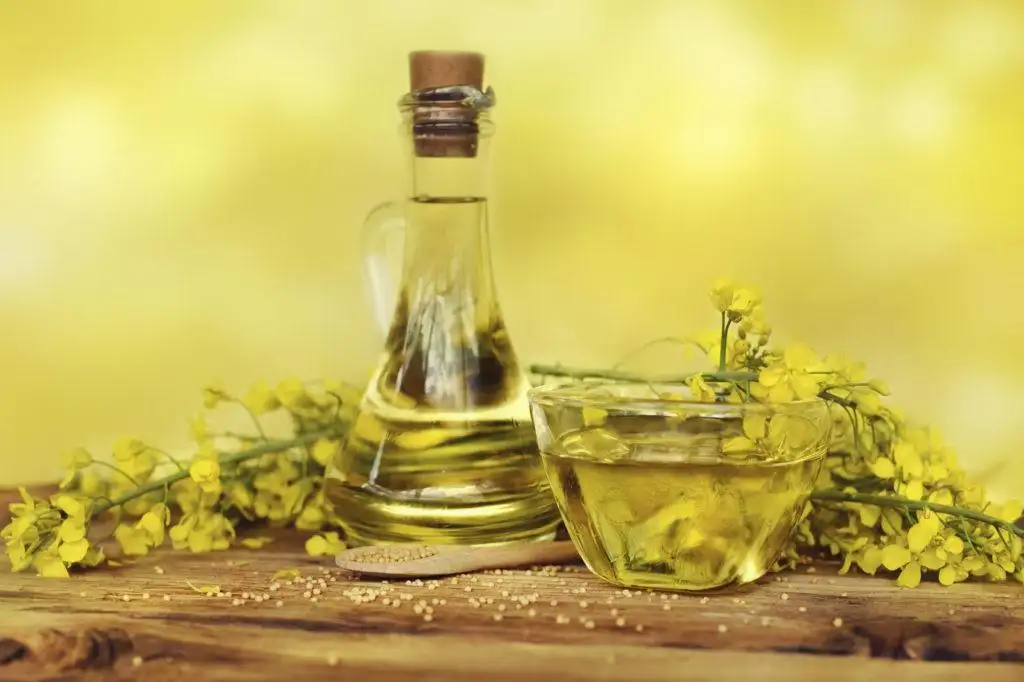 Рапсовое рафинированное дезодорированное масло от производителя, фотография 2