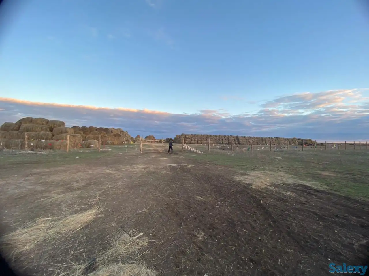Продам крестьянское хозяйство в 100 км от Уральска, фотография 15