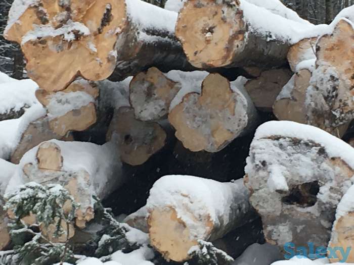 Продам хлыст пихтача, пиломатериал, кругляк лес круг, фотография 1