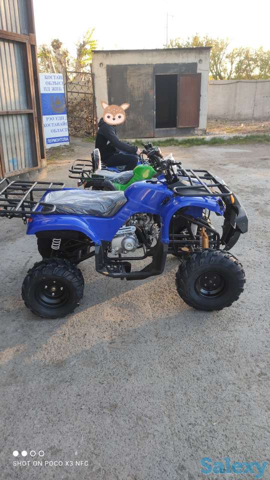Квадроциклы 50,110,125,250сс, фотография 4