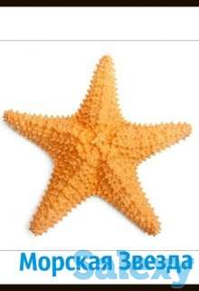 Учеба в Корее,Германии, фотография 1