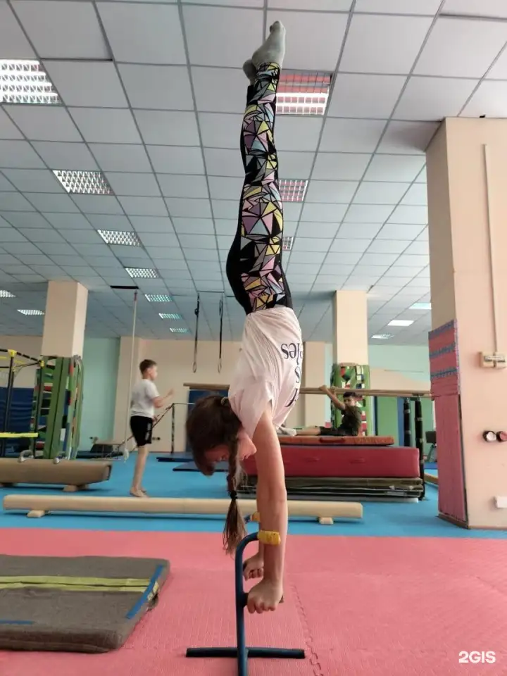 Гимнастика для мальчиков и девочек от 3 лет и старше, фотография 2