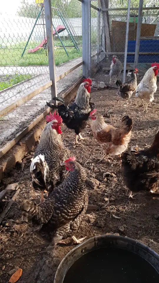 Дача с 2 домами, с/о Вагонник, 59, фотография 3