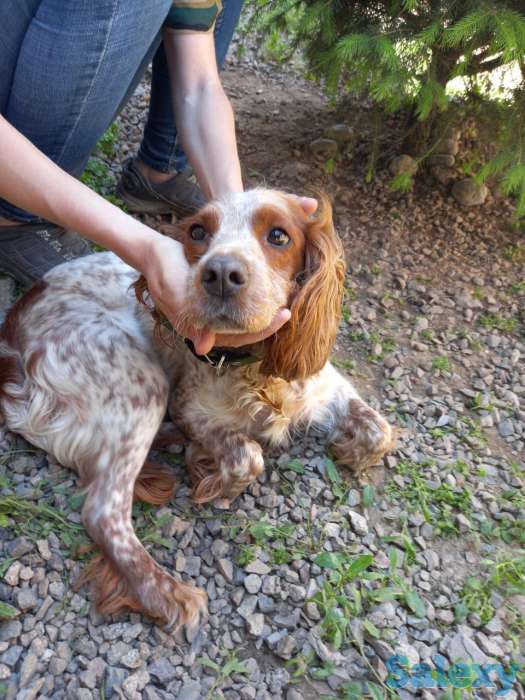 Продам недорого за 4000, фотография 1