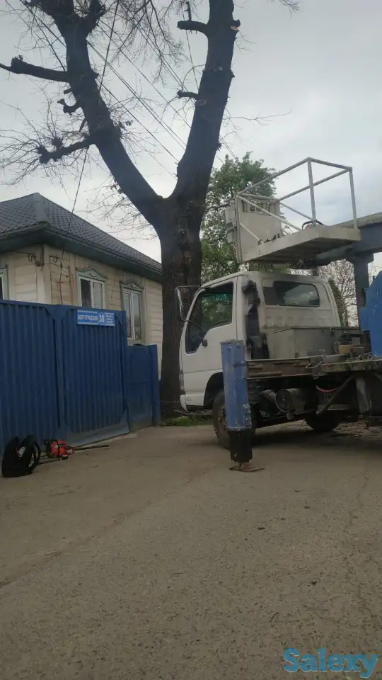 Спил деревьев по городу Алматы и Алматинской области, фотография 1