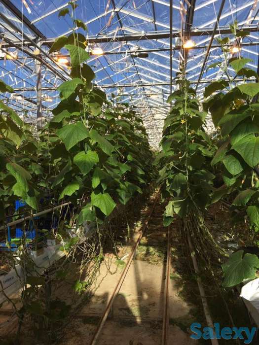 Работа в Польше, фотография 1