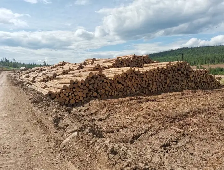 Вагонка, террасная доска, доска пола, имитация бруса, планкен. Доставка в Казахстан., фотография 6