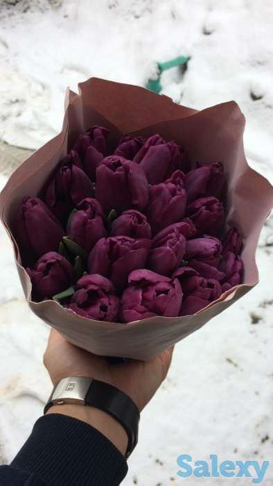 Голландские тюльпаны 10 лучших сортов,оптом и в розницу !, фотография 2