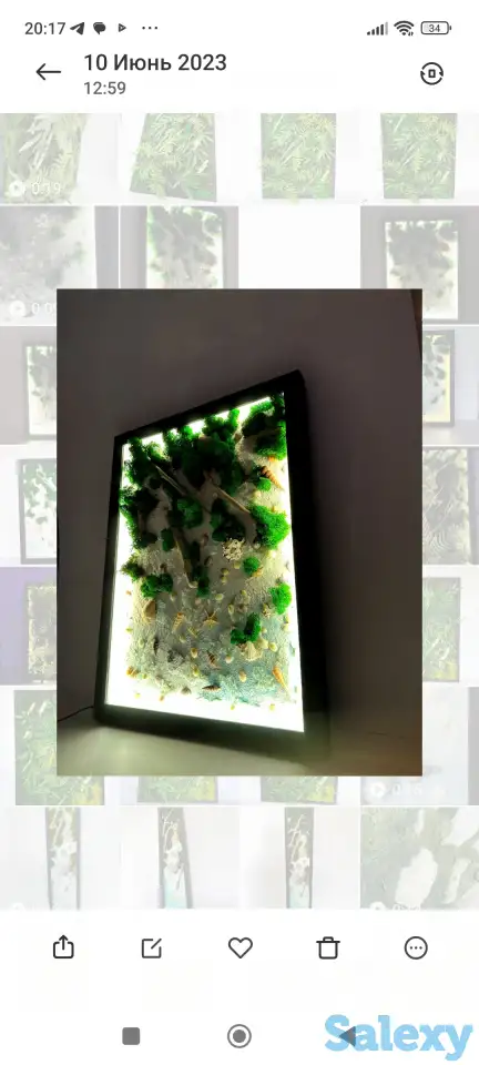 Картина из стабилизированного мха, фотография 3