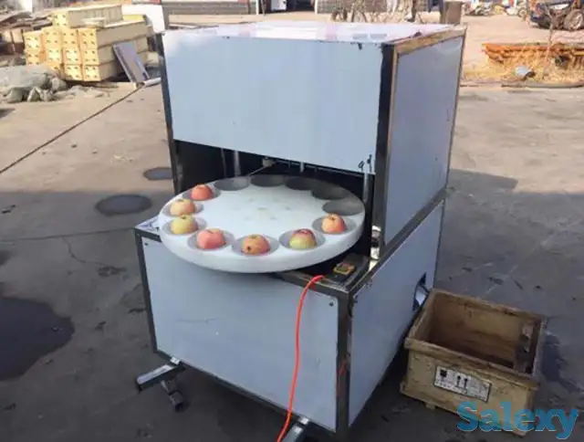 Машина для удаления сердцевины яблок, нарезка дольками и слайсами Vega Apl cor 400800 A, фотография 8