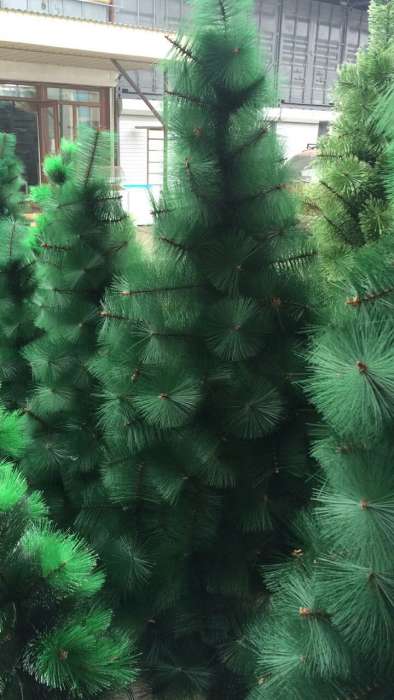 Акция! Елки новогодние (искусственные и настоящие), фотография 1