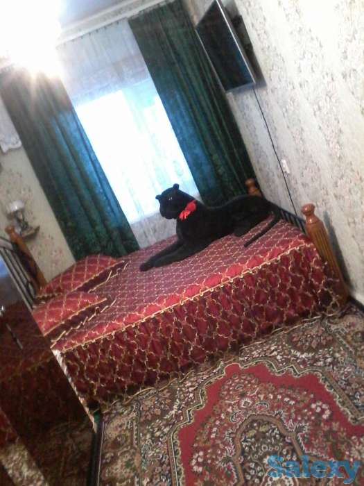 2-комнатная квартира, абайский район, фотография 4