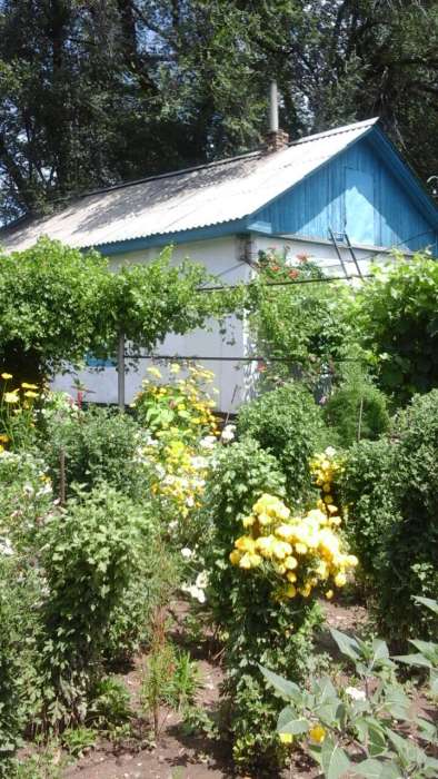 Продажа дома, п.Булакты 60м2, фотография 3