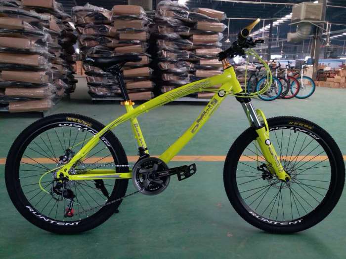  Велосипед BMW Lux на спицах, фотография 4