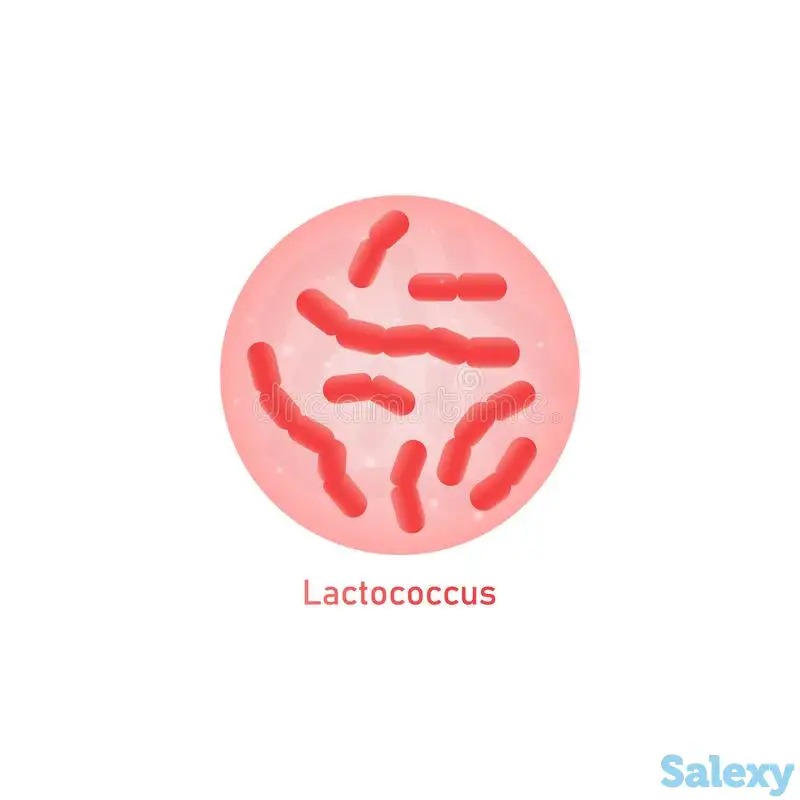 - сироп палатинозы -NeoGos- галактоолигосахариды, фотография 1