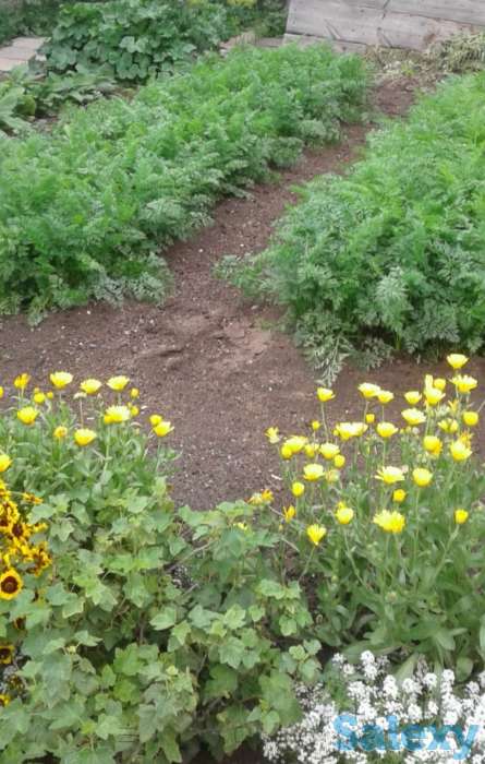 Продаю дом в п.Вольный Абайский р-он., фотография 7