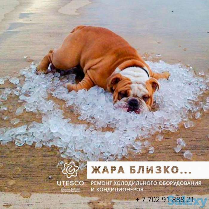 Ремонт и обслуживание холодильного оборудования и кондиционеров, фотография 1