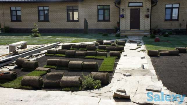 посадка газона, фотография 9