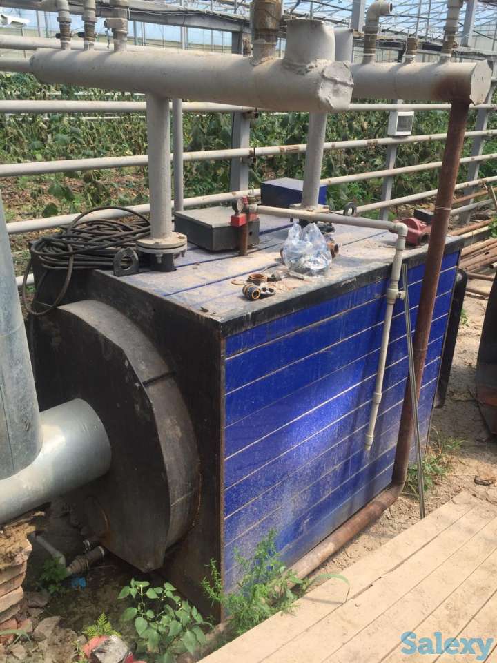 Теплица с выручкой от 6 млн. тенге в месяц!, фотография 3