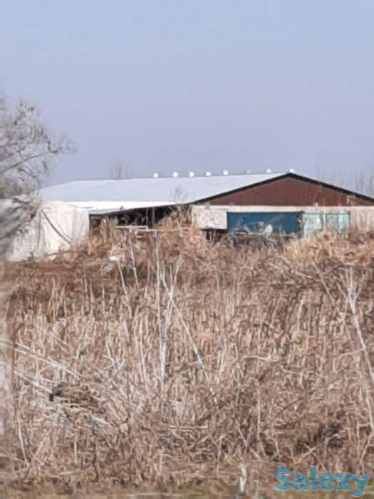 50 соток КХ Кошмамбет, фотография 3