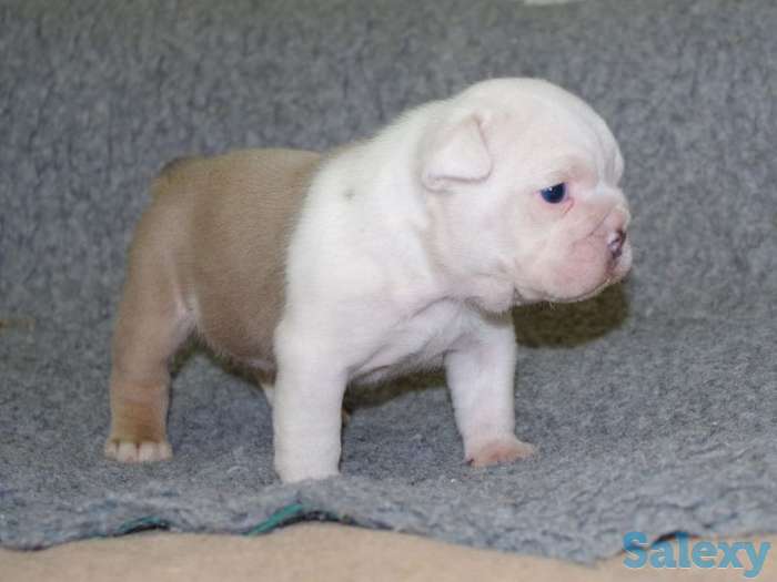 Красивый мальчик, фотография 2