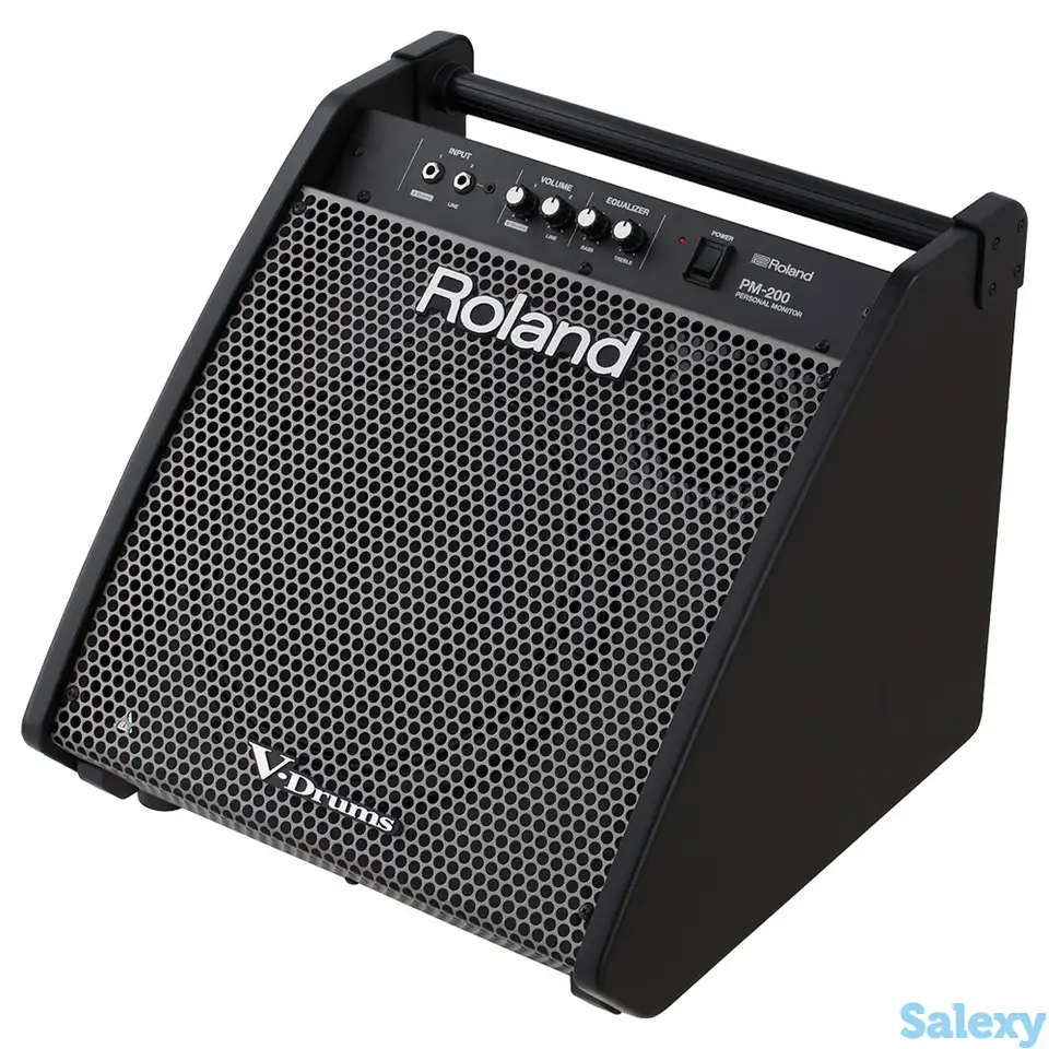 Перкуссионный монитор roland pm-200, фотография 1