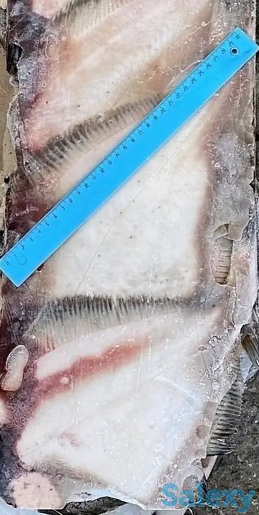 Рыба св.мороженная во Владивостоке., фотография 1