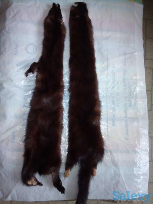 Норка, фотография 1