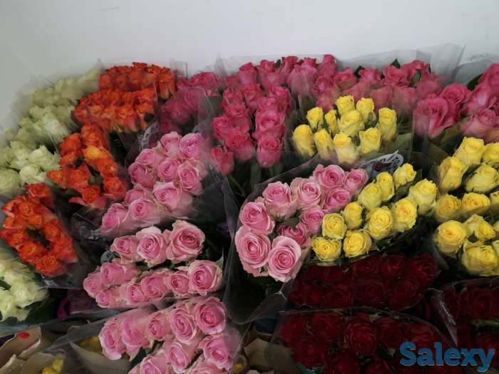 Экспресс доставка цветов, фотография 4