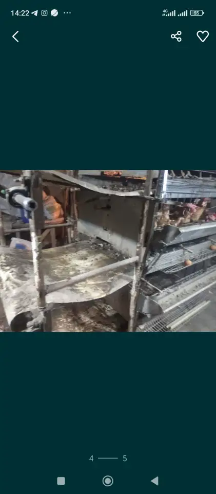 Оборудование для содержания кур несушек, фотография 3