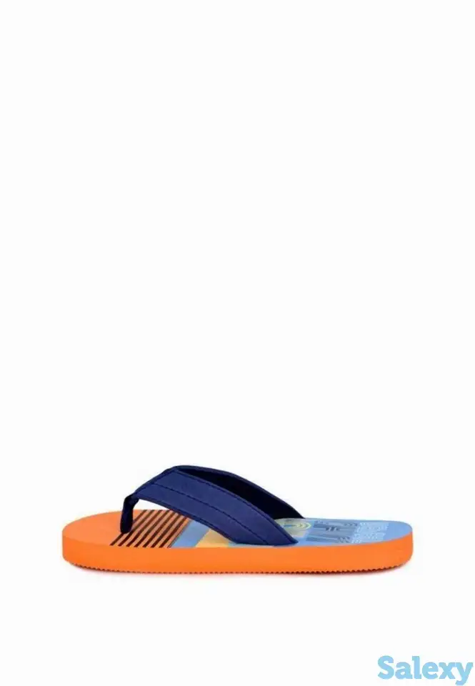 Сланцы t.taccardi, фотография 3