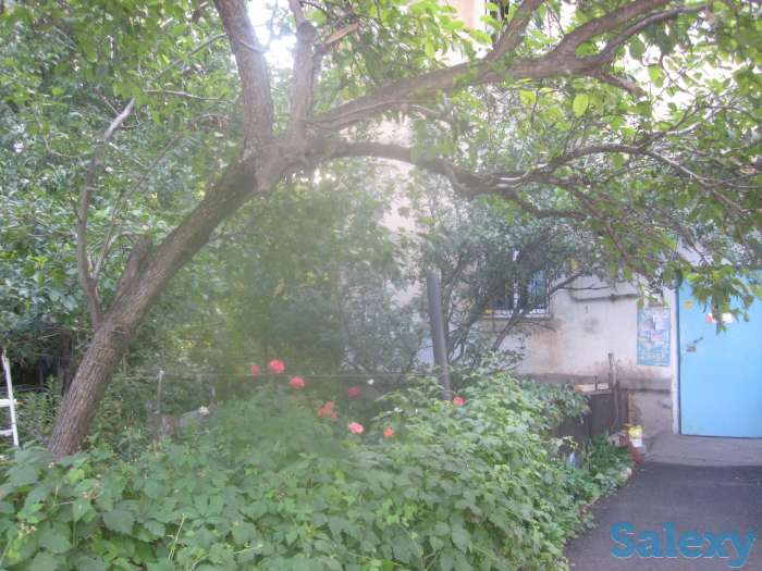 Квартиру-продам, проспект Гагарина угол Утепова, фотография 2