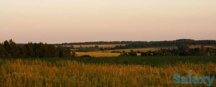 Коммерческое предложение по продаже 5000га земельных угодий в Московской области Росия, фотография 2